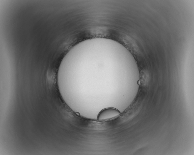 X0000111520713200907211224
