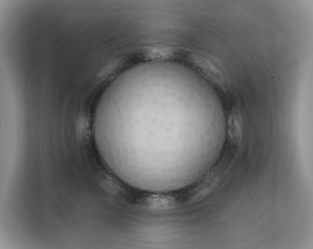 X0000111520714200907211224