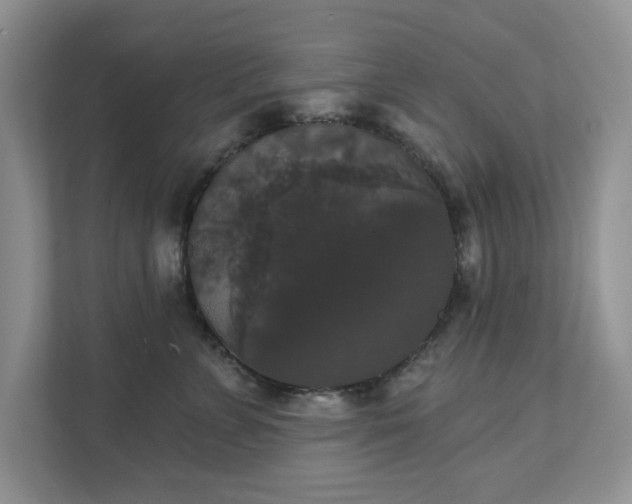 X0000111520715200907211224