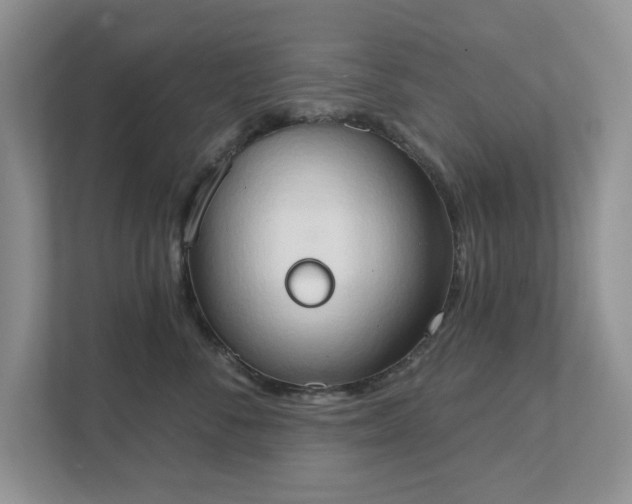 X0000111520716200907211224