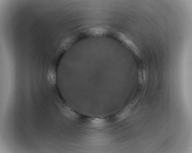 X0000111520718200907211224