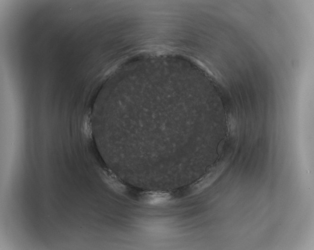 X0000111520719200907211224