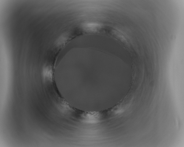 X0000111520720200907211224