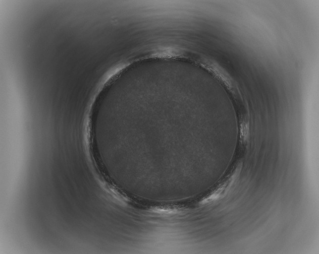 X0000111520724200907211223