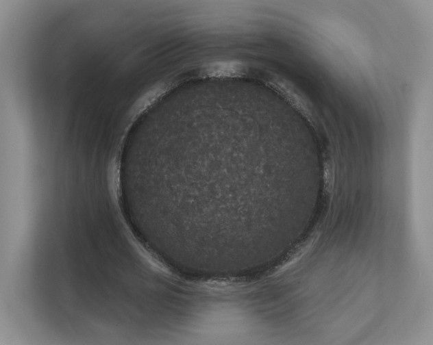 X0000111520725200907211223