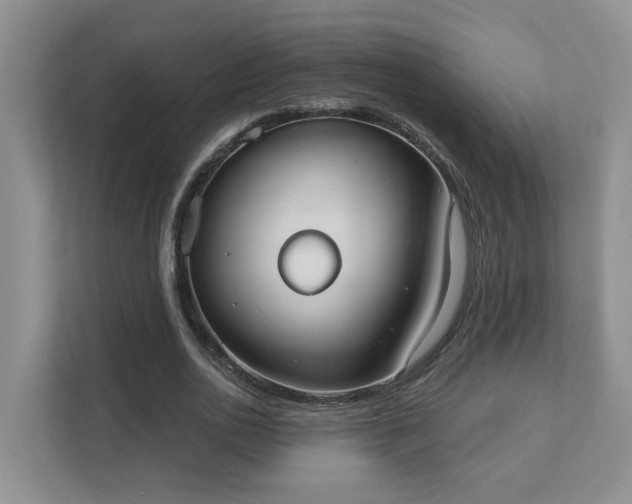 X0000111520726200907211223