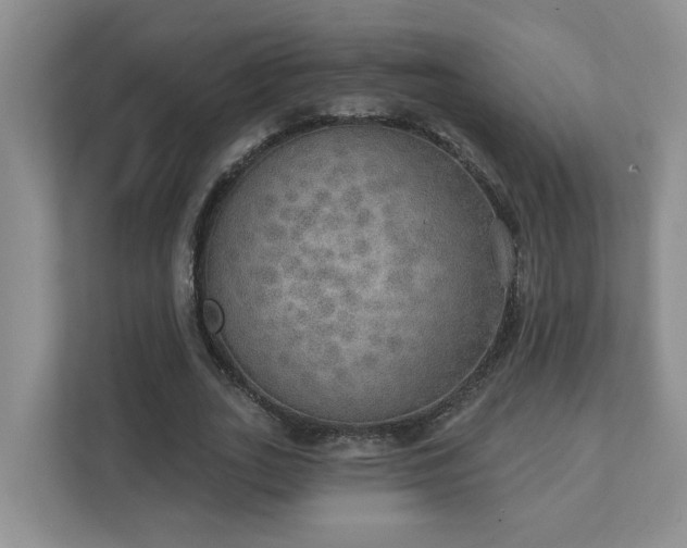 X0000111520727200907211223