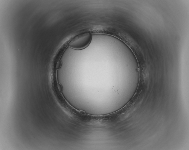 X0000111520728200907211223