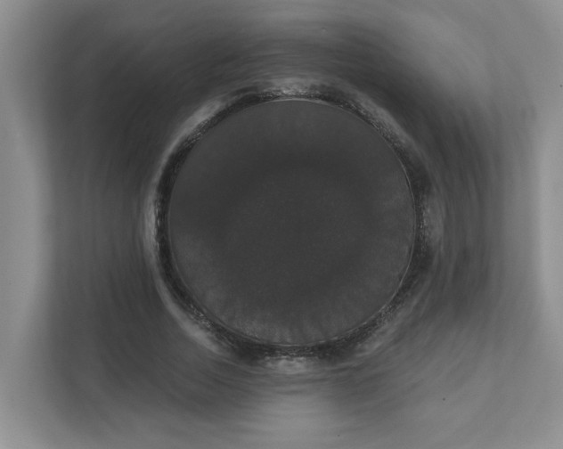 X0000111520730200907211223