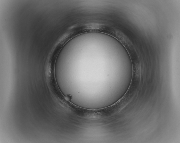 X0000111520731200907211223