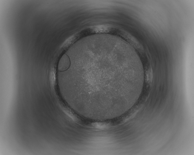 X0000111520733200907211223