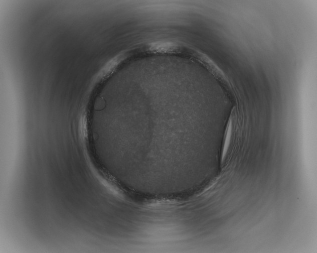 X0000111520734200907211224