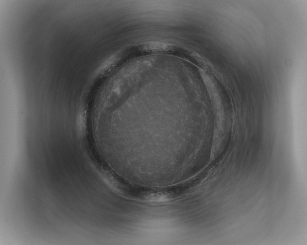 X0000111520735200907211224
