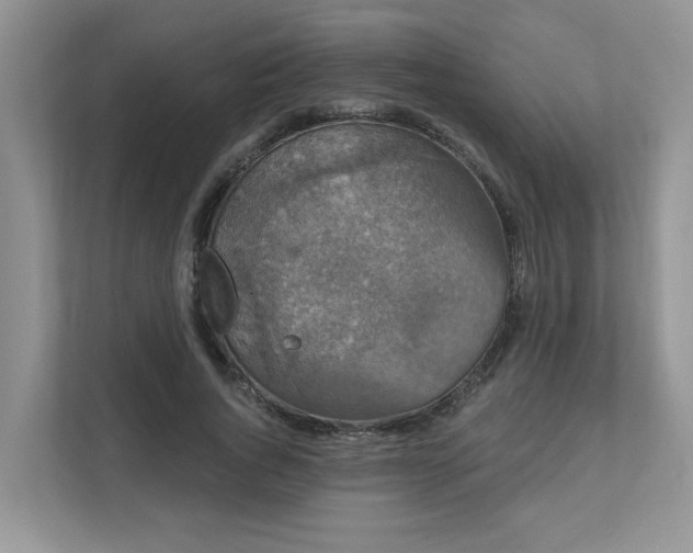 X0000111520736200907211224