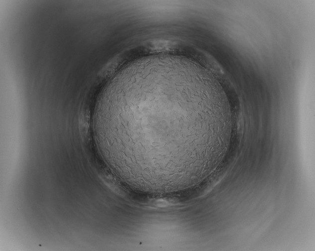 X0000111520737200907211224