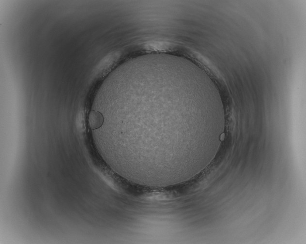 X0000111520738200907211224
