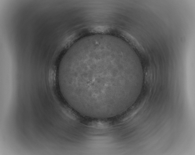 X0000111520739200907211224