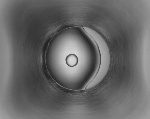 X0000111520740200907211224