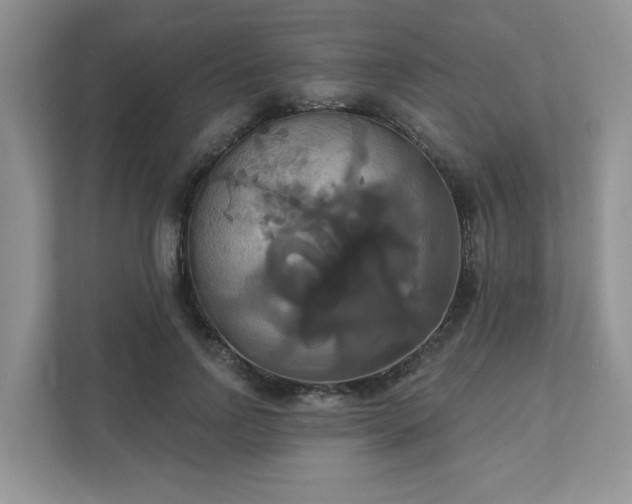 X0000111520742200907211224
