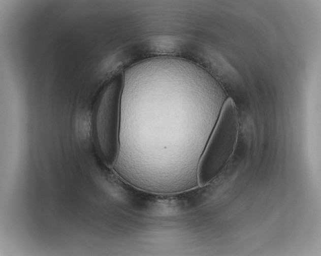 X0000111520744200907211224