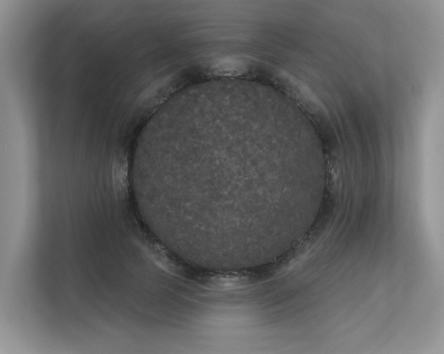 X0000111520745200907211224