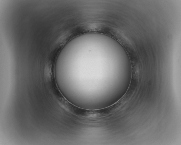 X0000111520746200907211224