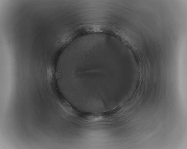 X0000111520747200907211224