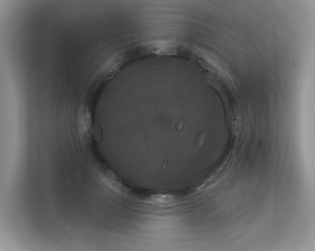 X0000111520748200907211224