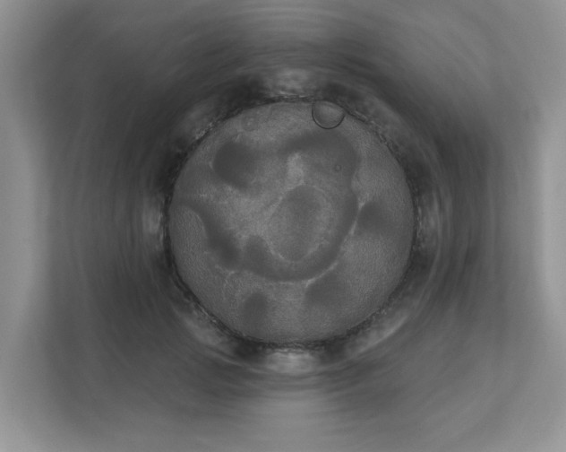 X0000111520749200907211224