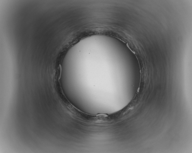 X0000111520750200907211224