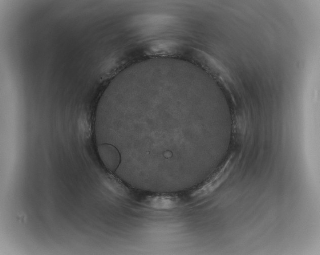 X0000111520751200907211224