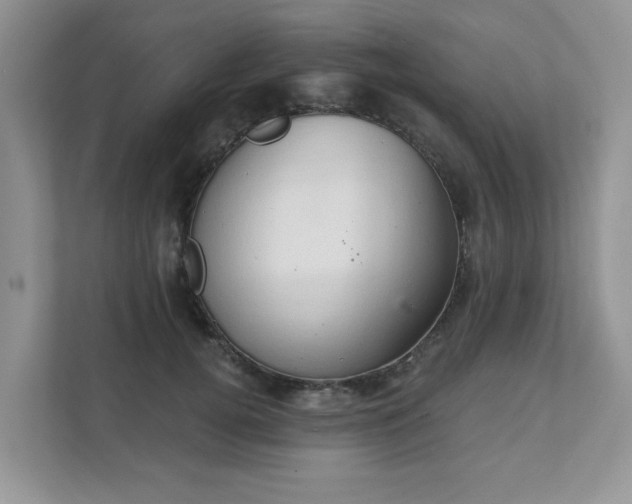 X0000111520752200907211224
