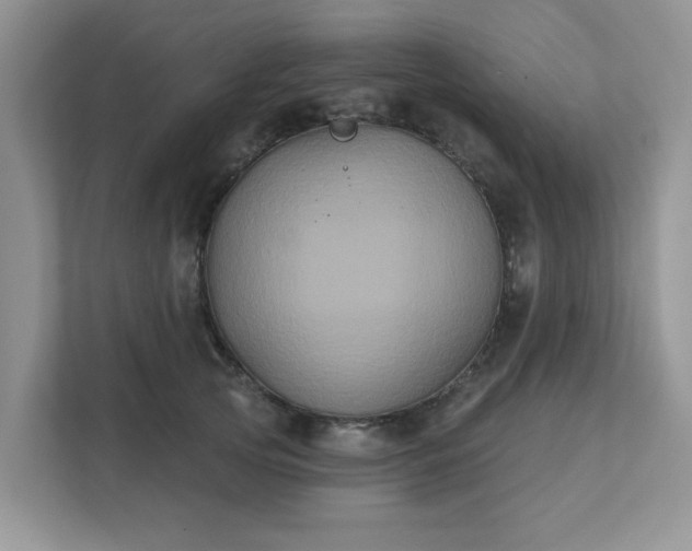 X0000111520753200907211224