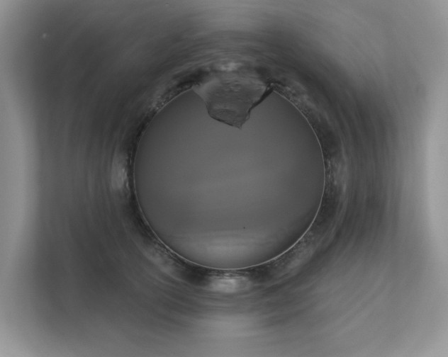 X0000111520754200907211224