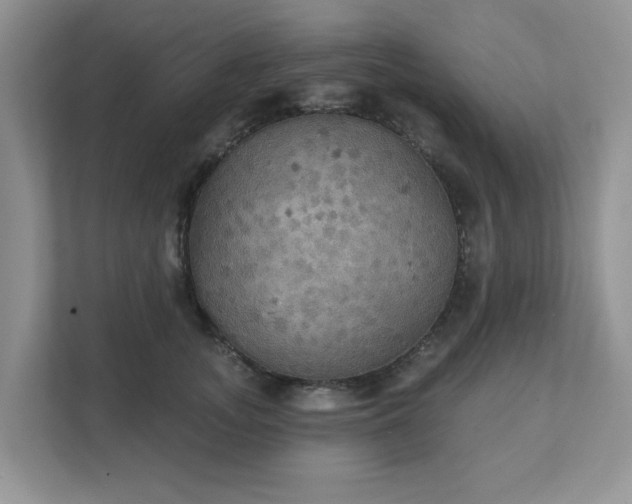 X0000111520755200907211224