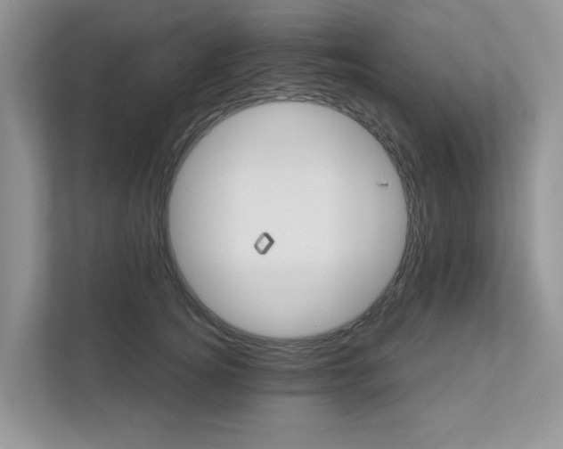 X0000111520756200907211224