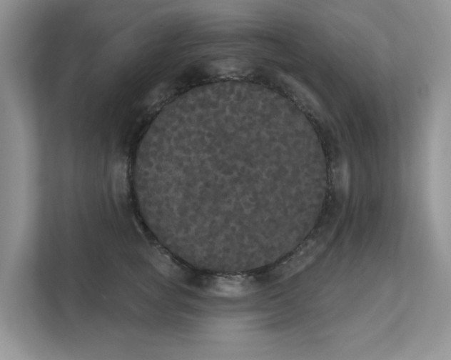 X0000111520757200907211224