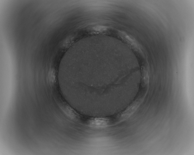 X0000111520758200907211224