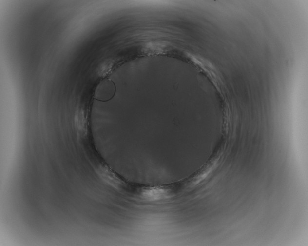 X0000111520759200907211224