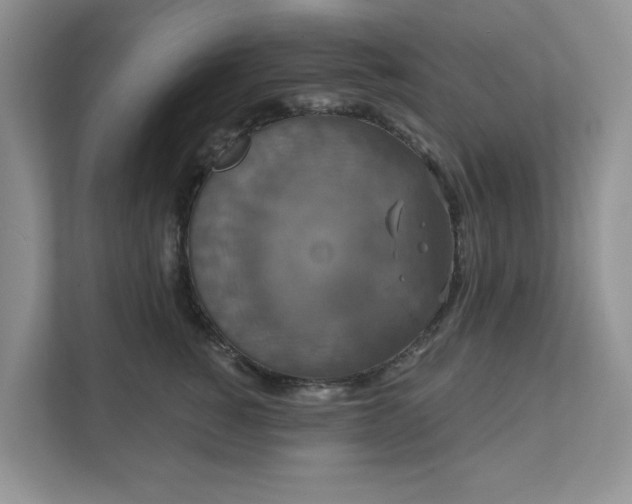 X0000111520760200907211224