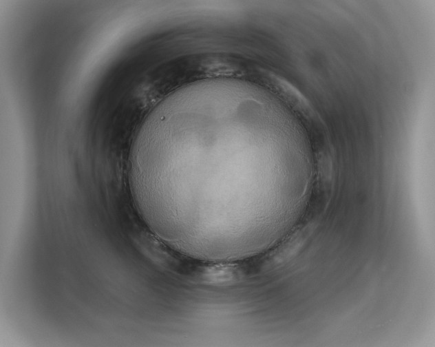 X0000111520761200907211224