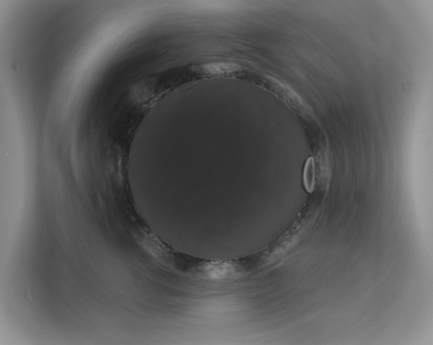 X0000111520762200907211224