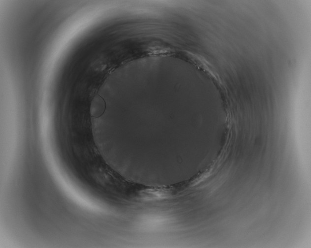 X0000111520763200907211224