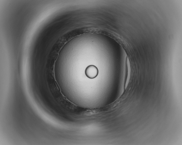 X0000111520764200907211224
