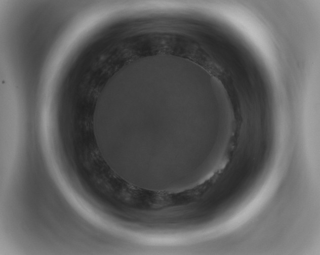 X0000111520766200907211224