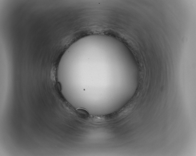 X0000111520768200907211224