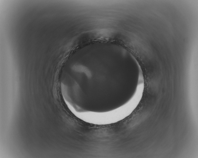 X0000111520769200907211223