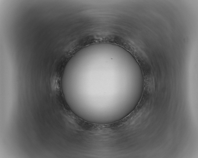 X0000111520770200907211223