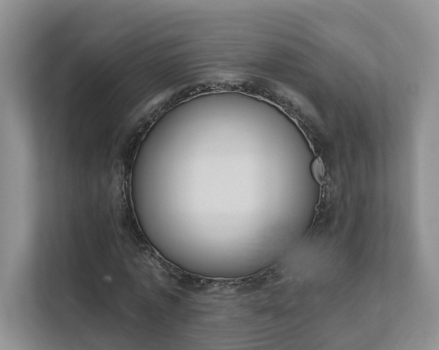 X0000111520773200907211223