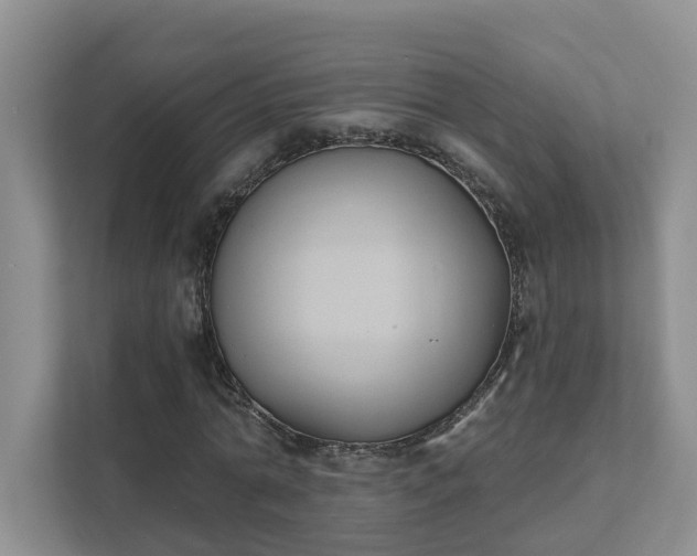 X0000111520774200907211223